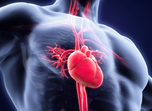 vérvizsgálatok a szív egészségének ellenőrzésére)